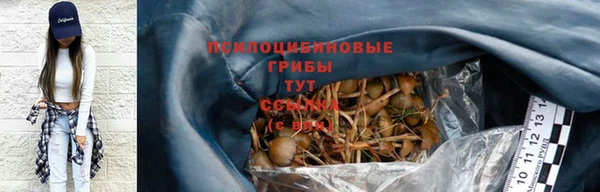 скорость Няндома