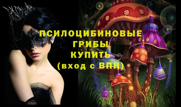 скорость Няндома
