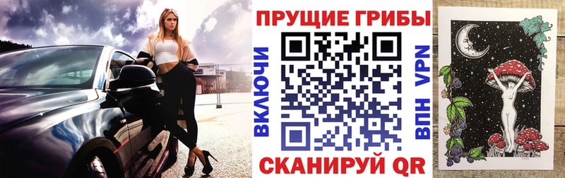 наркотики  Кемь  Псилоцибиновые грибы ЛСД 